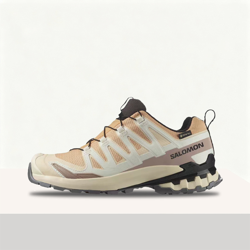 حذاء سالومون XA Pro 3D V9 GTX: - مراجعة Salomon Shoes Xa Pro 3D وسعره